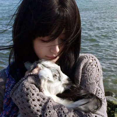 约定的梦幻岛海报